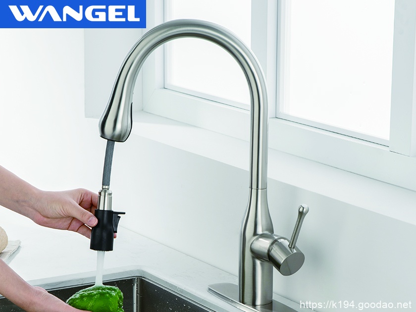 Wangel Kitchen Sink Faucet Stainless Steel